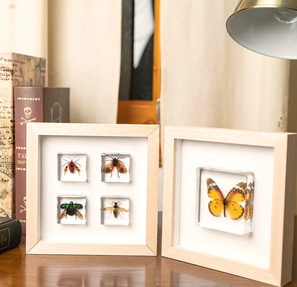 Factory Hot Sale Resin Crafts block Butterfly Real Insect Biological Specimen Animal Pattern Taxidermy Gift resin specimen