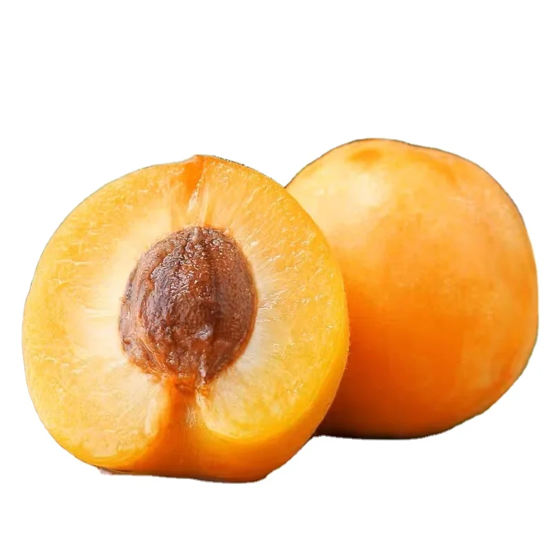 Natural 100% yellow sweet fresh apricots