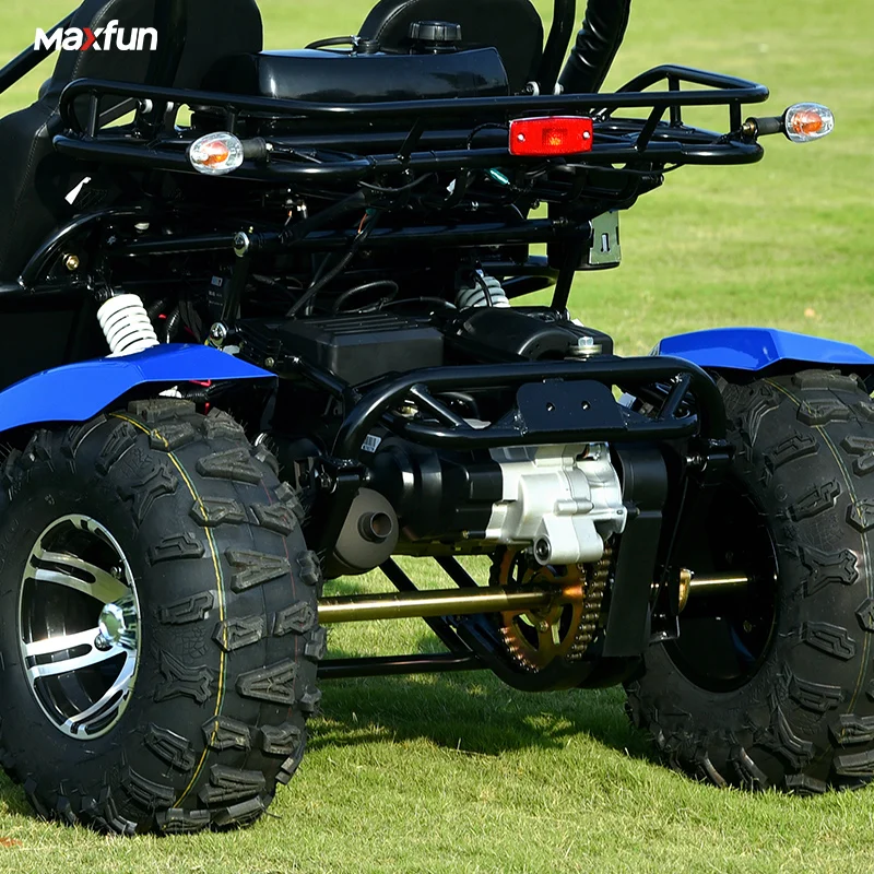 2024 4 Wheels 2 Seater Go Karts Gasoline Dune Buggy