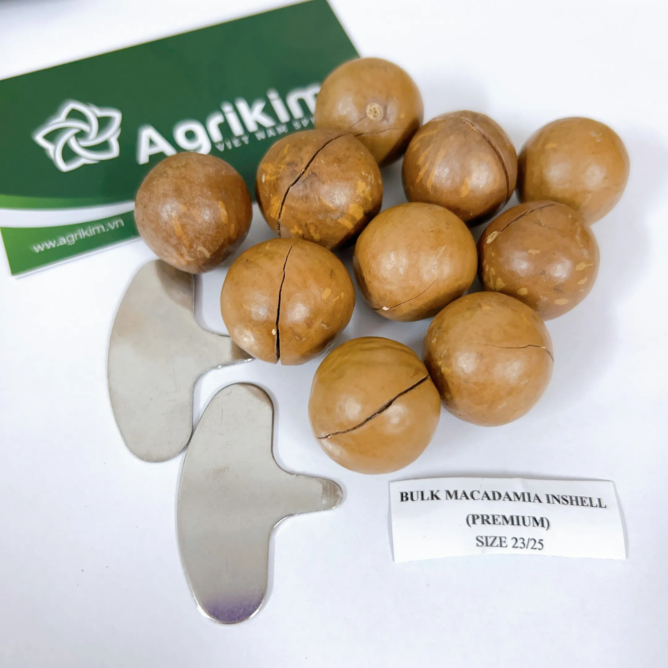 [Бесплатные образцы] вьетнамские орехи макадамия высшего качества все сорта сырые макада от лучшего поставщика WS + 84 359313086