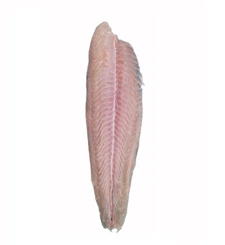 Fresh and Nutritious Untreated Pangasius fillet, well-trimmed, Chemical Free