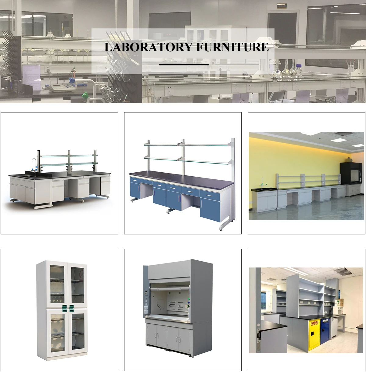 lab