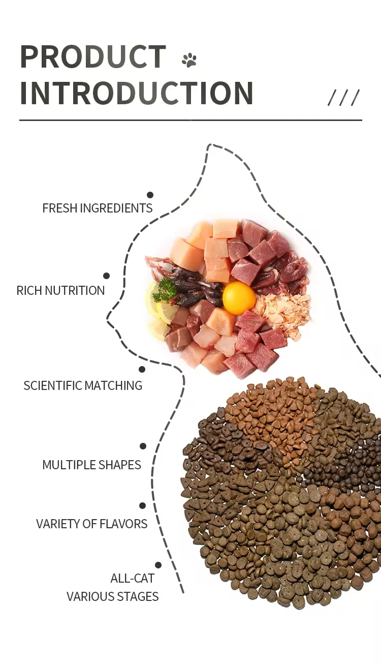Wholesales Free Sample Cat Food Science Formula Natural Protein Rich Chicken Flavors All Age Dog Dry Staple Food kg Weight