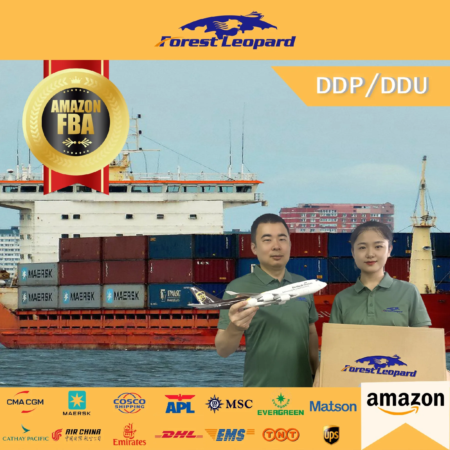 Лучший логистический агент морской экспедитор морские грузовые перевозки Шэньчжэнь в Египет Индия Турция через DHL UPS FedEx