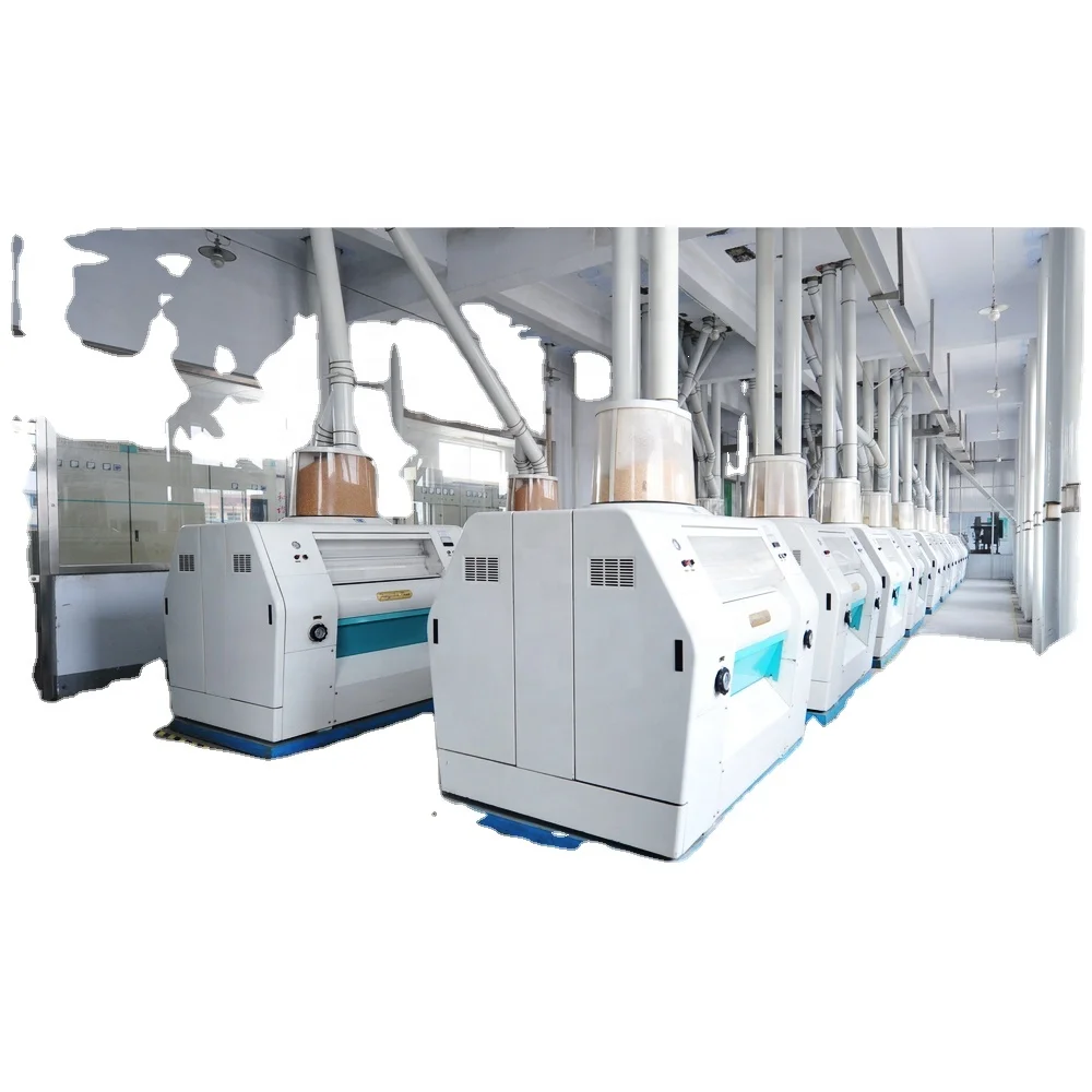 Turnkey plant projects Wheat milling Flour Mill China  100tpd