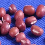
New Crop 2019 High Quality Dried Small Red Kidney Bean 