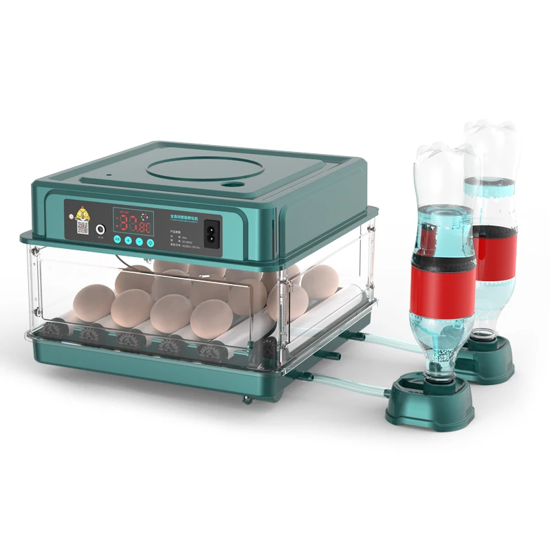 2022 new arrival chicken egg hatching machine incubator 15 capacity dual power supply
