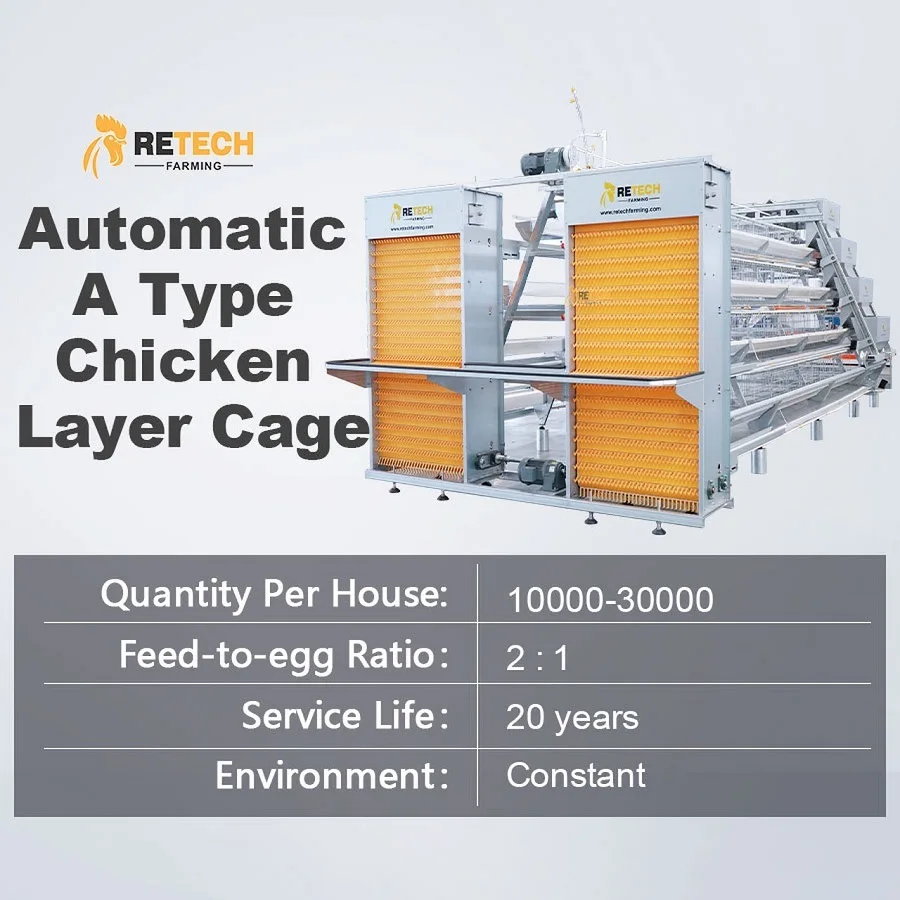 Hot sale layers poultry chicken feeding cages system poultry equipment