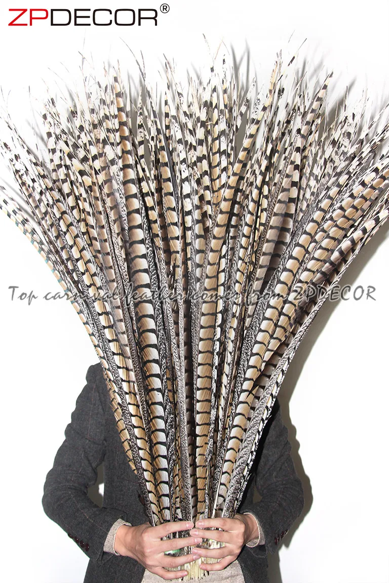 ZPDECOR Factory Wholesale Size 70-80 cm Natural Lady Amherst Pheasant Feather for Brazilian Carnival Decorations