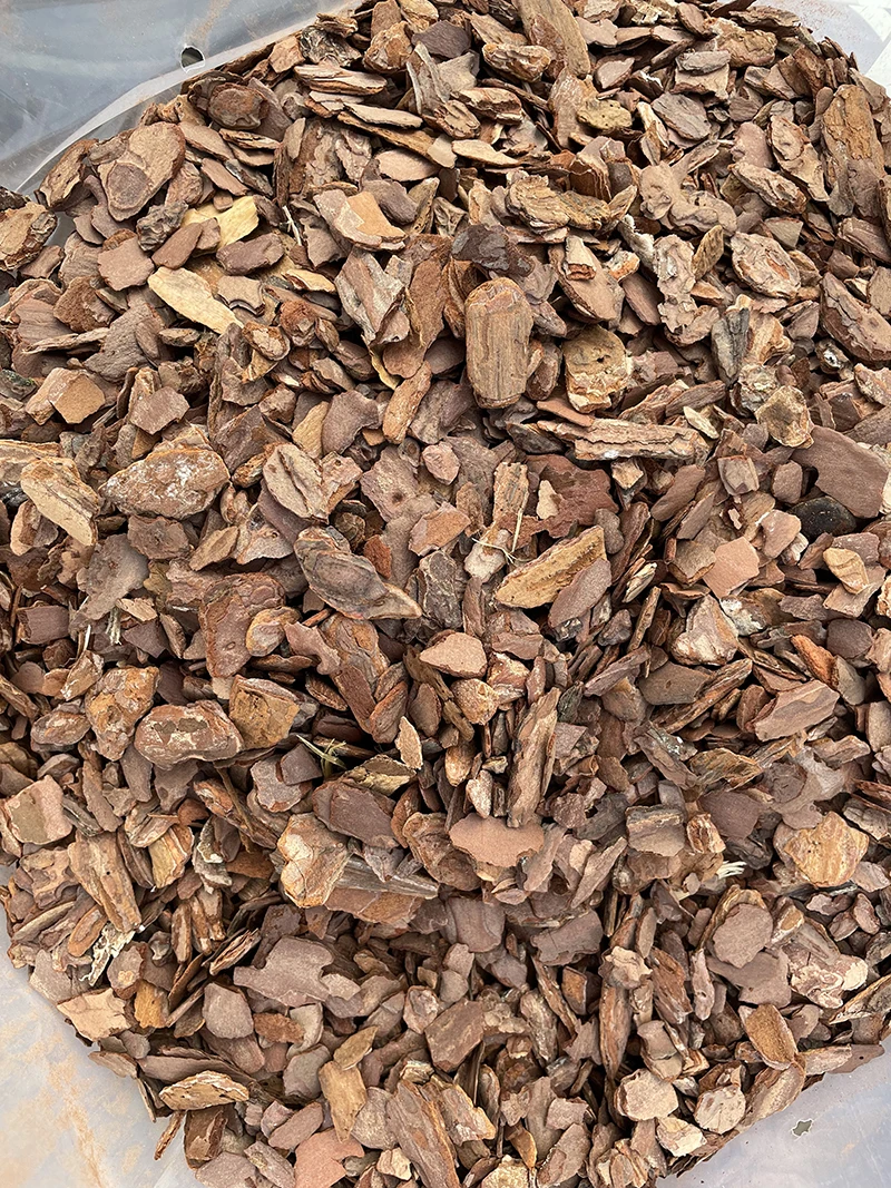 china Factory wholesale pine Bark chip Planted Trees Natural Pine Bark nugget Wood Supplement Mulch