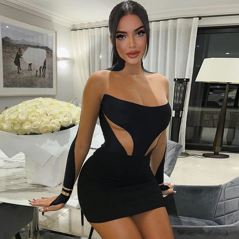 Fashion sexy party club long sleeve mesh slim mini dress