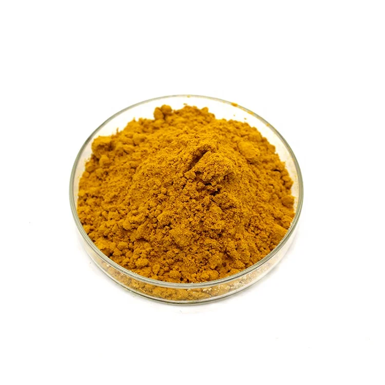 
100% Natural Instant Ginger Powder,Ginger Extract Powder Water Soluble 