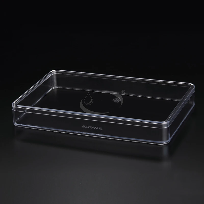 injection molding transparent box Baking packaging box biscuit flat fruit thousand layer cake Mousse Cake cookie
