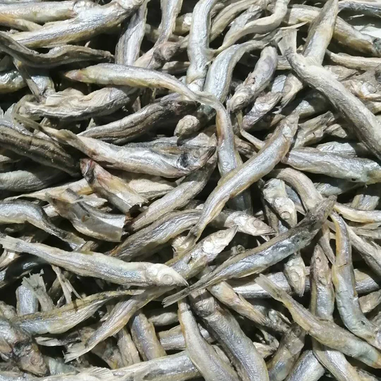 freeze-dried pet food dog and cat snacks beef chicken duck fish