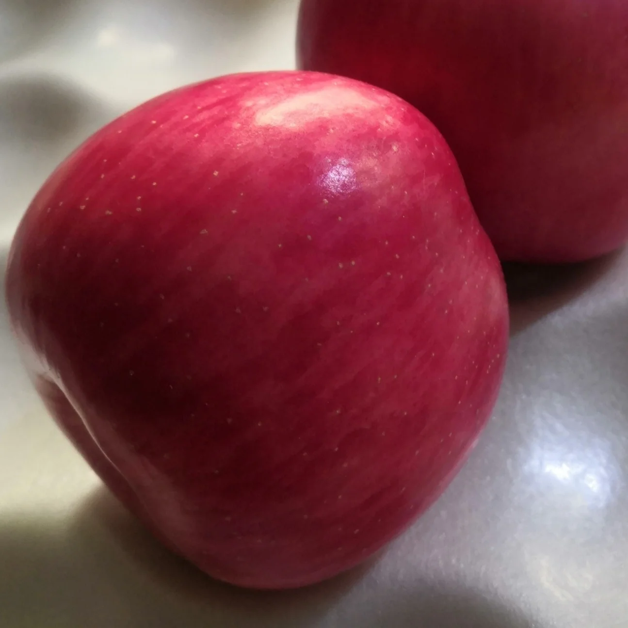 Organic Planting Fuji Apple