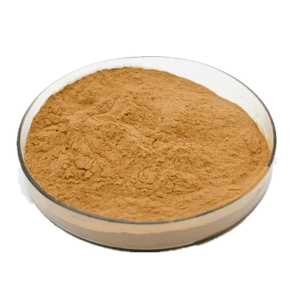 Customized Supply 25%-90% Rosemary Extract Carnosic Acid Powder as Food Antioxidant