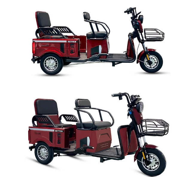 North America ebike 3 wheel/ motorcycle electric bike for old people