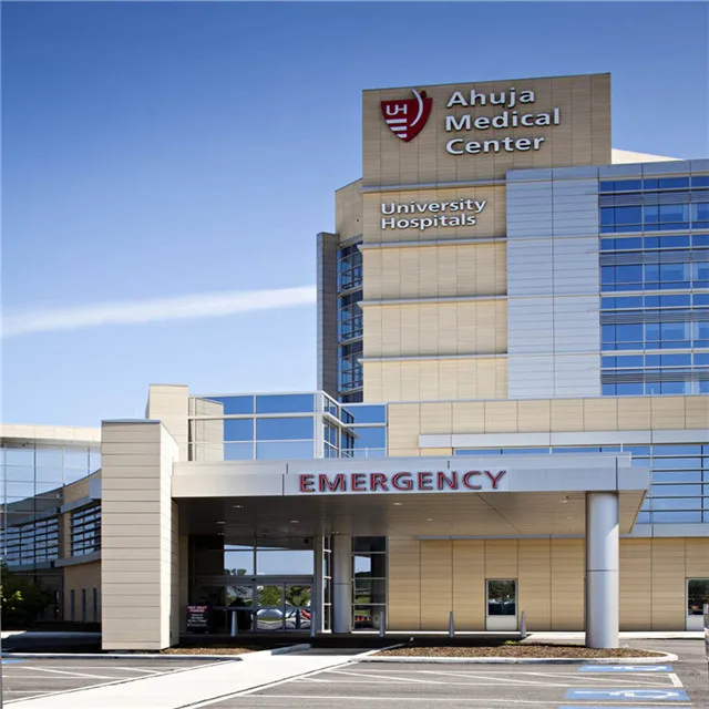 2/3/4/5/6 mm Composite Panel Fixings Alucobond cheap price Tiger Yellow Granite Wall Cladding