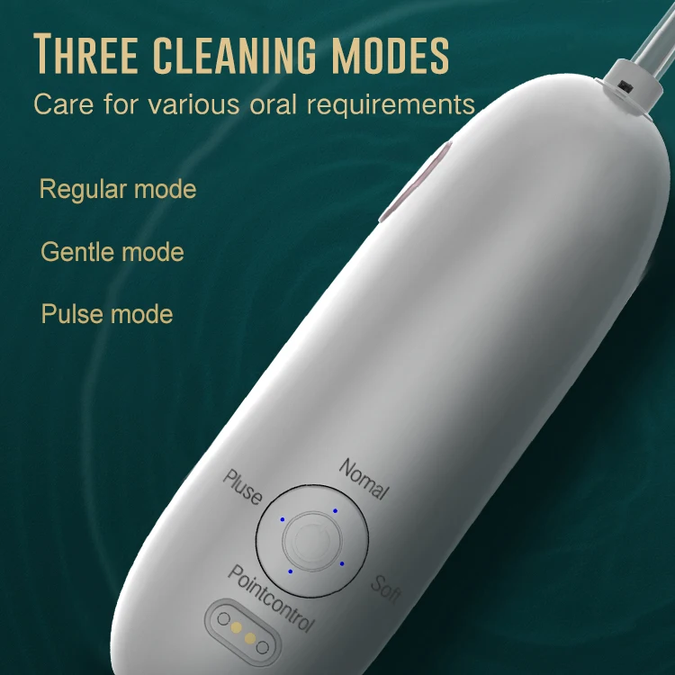  Water Flosser 2021 Good Design Portable cordless Dental Oral Irrigator for teeth dental water