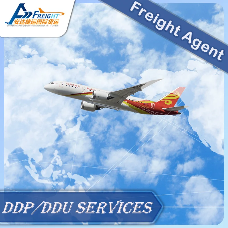 Door To Door Service For Germany By Sea By Air DDP service