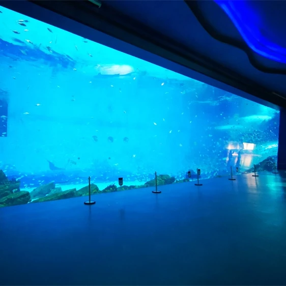 Акриловый аквариумный аквариум с акриловыми толстыми листами