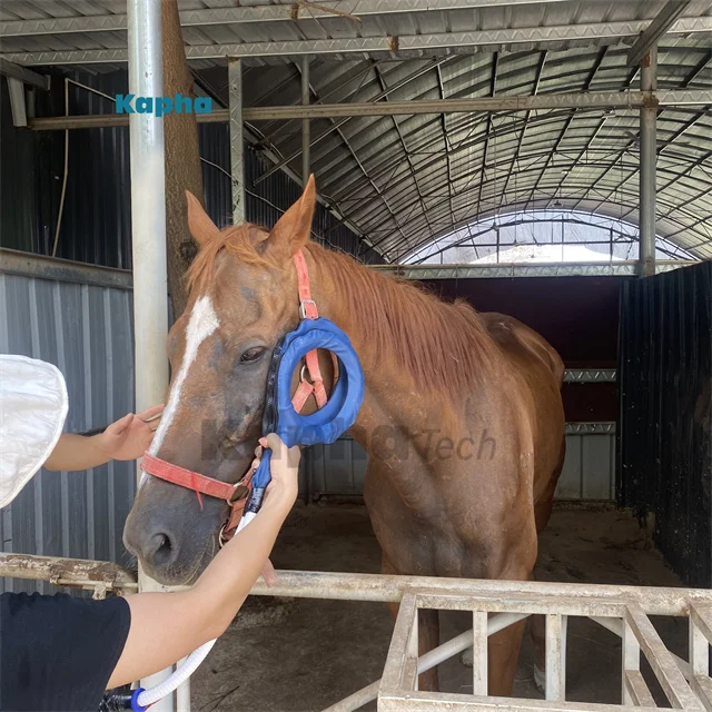 Kaphatech New Inventions For Horse PMST Loop Pemf Magnetic Therapy Device Horse Ankle Rehabilitation Equipment