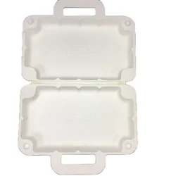 Custom Pulp molded Gift Box from biodegradable material China supplier