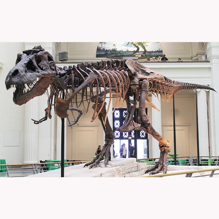 Стекловолокно Trex Скелет Ископаемого кости динозавра ископаемого для дисплея музея