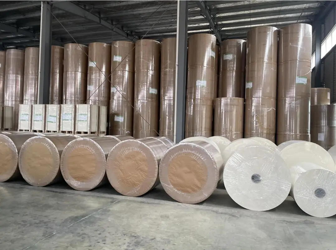 150 160 170 180 190 210 GSM + PE Coated Cup Paper Raw Material in rolls
