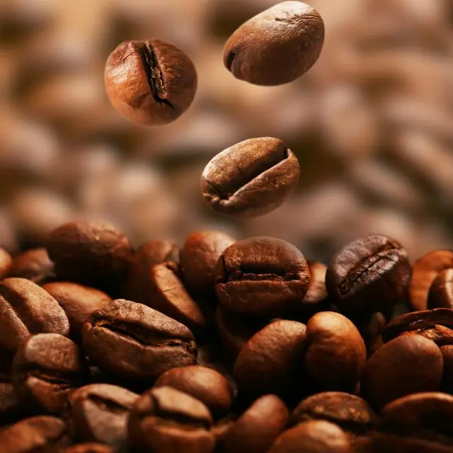 Кофейные зерна Robusta Arabica кофе высокого качества зеленые - история ...