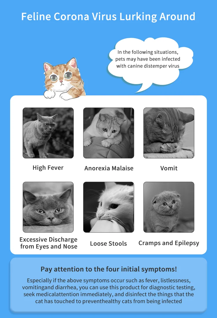 Hirikon Cat Corona virus Antigen Rapid Test Kit OEM Service Offered