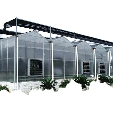 Сельскохозяйственная теплица из поликарбоната 8 мм для продажи