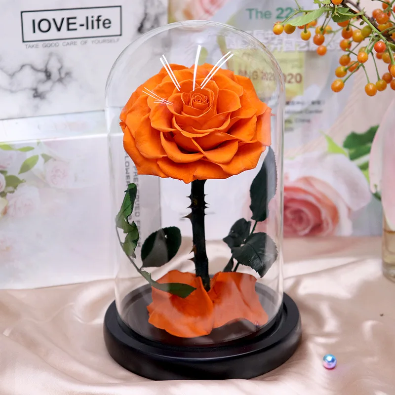 Gift Preserved Flower Eternal Rose in Box Valentine Wholesale Luxury Everlasting Stabilized Preserved Rose in Glass Dome