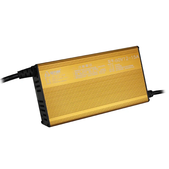 Quality Assurance Electric Vehicles Fast CHarge CHarger 60v8a 48V8ADc E-bike charger scooter forklift charger golf cart