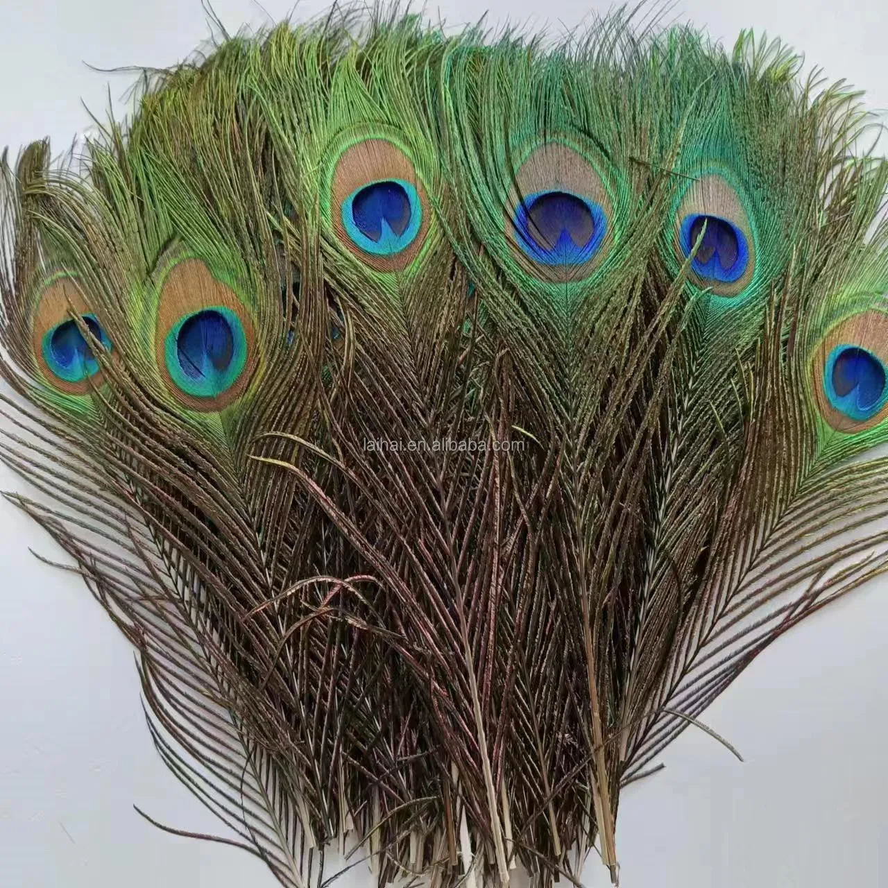 Cheap Natural Indian Peacock feathers tail feather for crafts accessory party costumes dance dress decoration