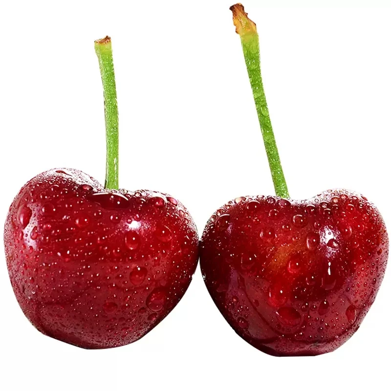 High grade 2023 Natural Fresh Fruit Cherry from China,Plant base directly supply