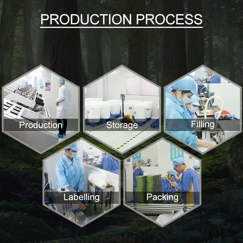 Baolin 100% pure Natural Rosemary oil hair growth OEM private label