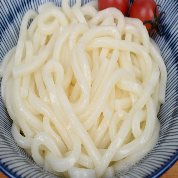 Udon Noodles Japanese style Tokaido 750g Japanese cuisine OEM custom