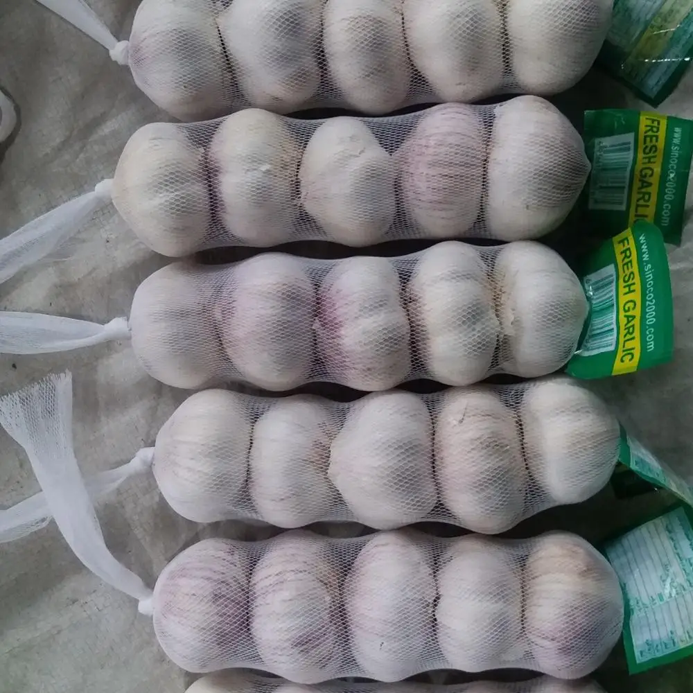 China garlic
