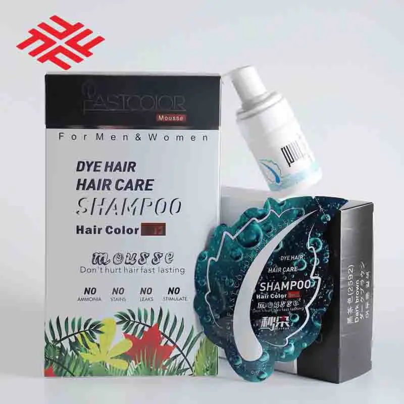 Home Use FastColor Mousse No Ammonia Black Hair Dye Permanent Hair Color Dye Spray