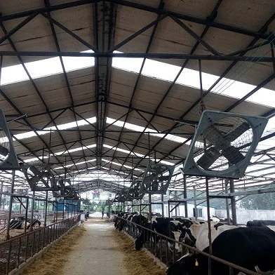 ventilation fan for dairy cows pakistan Hanging Exhaust Fan dairy farm cooling fan