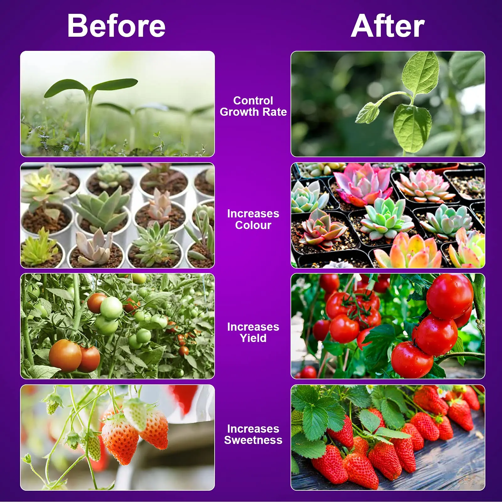 YLShine Phytolamp 9W 18W 27W 36W Indoor Gooseneck Clip Lights Usb 4 Head Strip Phyto Lamp Plant Led Grow Light For Flower Growth