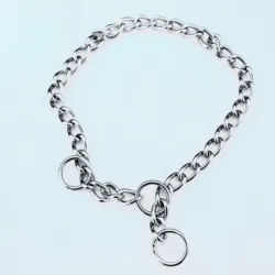 Stainless steel collar for dog