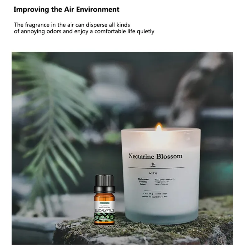 New Cheap Water Soluble Aromatic Essential Oil  6PCS IN ONE BOX Essential oil For Humidifier Aroma Diffuser Air Humidifiers