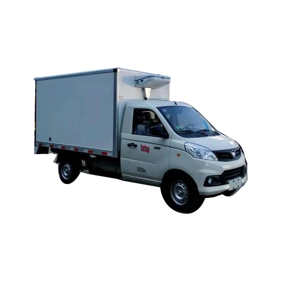 CLW бренд dongfeng foton ISU2U changan 1000 кг 2 тонны небольшой Морозильный шкаф цена