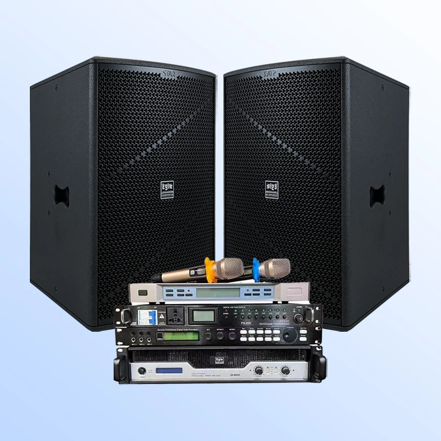 2023  Professional 450W 2 way Full Range sound equipment KTV Karaoke System Set Speakers 10 12 Monitor Loudspeakers