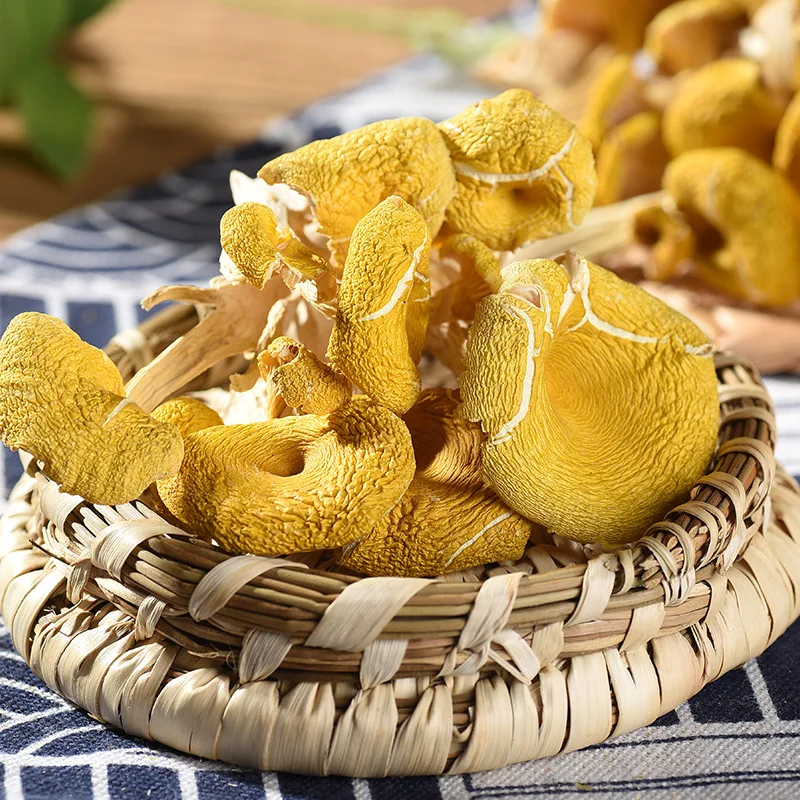 Wholesale Chanterelle Mushroom Dried Chanterelle Mushroom