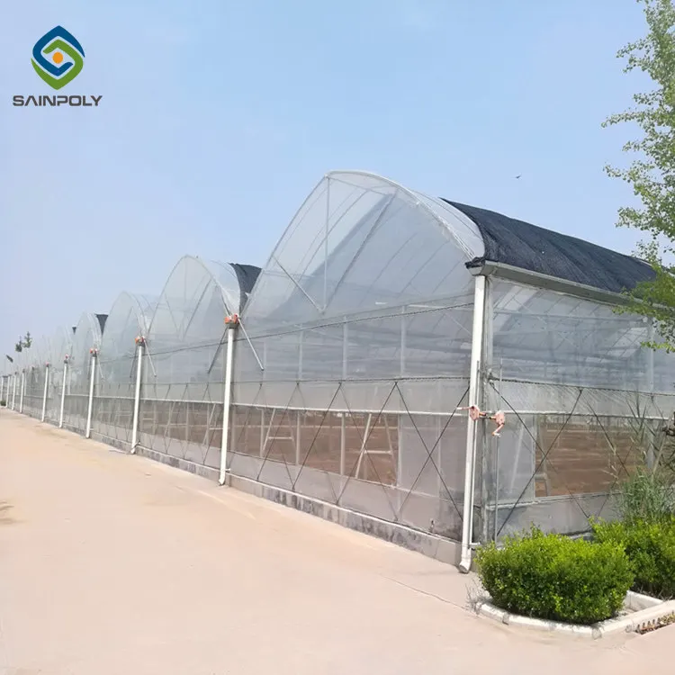 
Agriculture multi-span Invernadero arch plastic film greenhouses for sale 