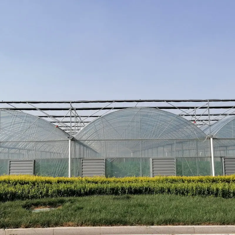 high quality big span garden multispan greenhouses for sale made in China