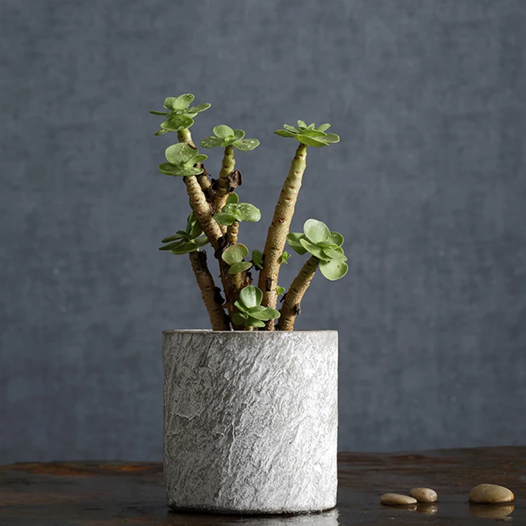 Rough texture home tabletop decorations concrete bonsai succulent plant pots garden supplies flower pot for plant flower